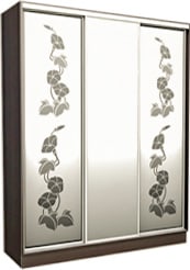шкаф с пескоструйным рисунком